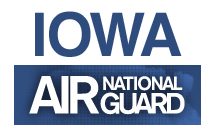 132d Wing, Iowa Air National Guard logo